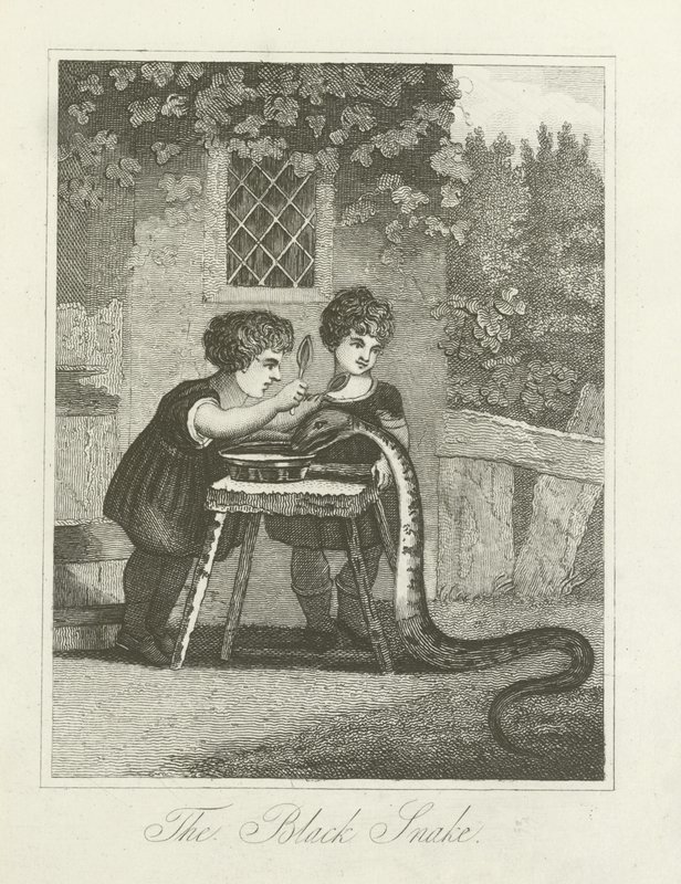 La serpiente negra de English School
