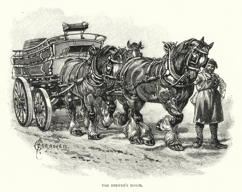 El caballo del cervecero de English School