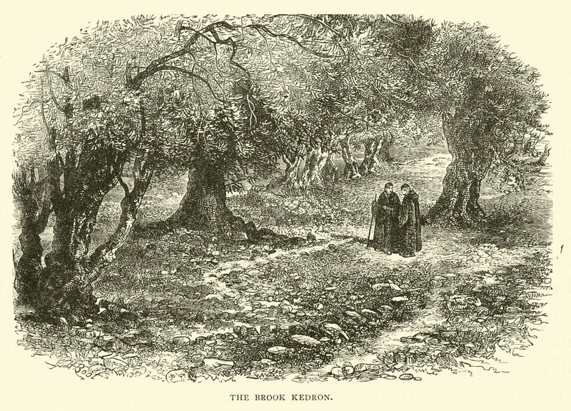 El Arroyo Cedrón de English School