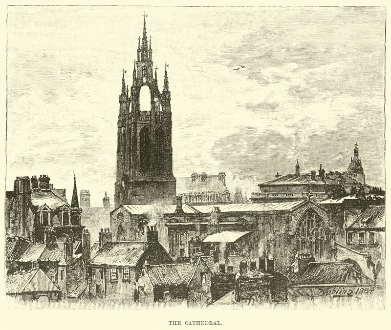 La catedral de English School