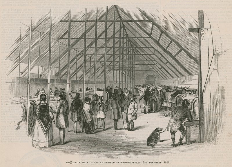La exposición de ganado del Smithfield Club de English School