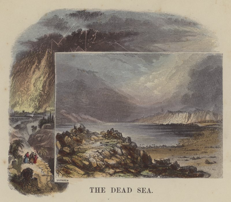 El Mar Muerto de English School
