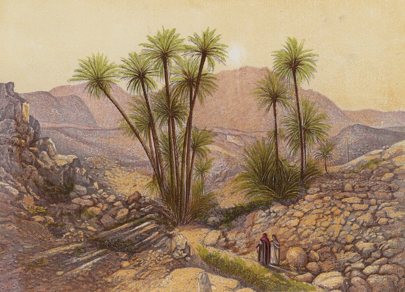 El desierto del Sinaí (litografía en color) de English School