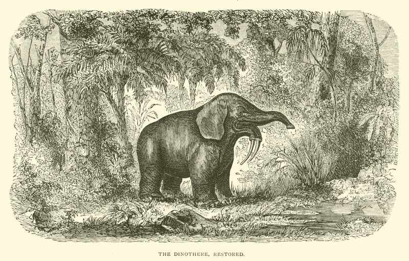 El Dinotherium, restaurado de English School