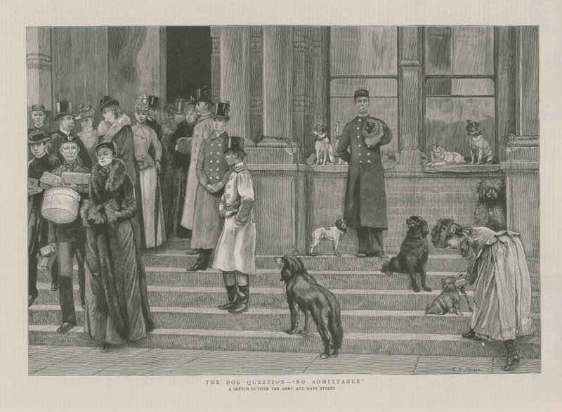 La cuestión del perro - No se permite la entrada de English School