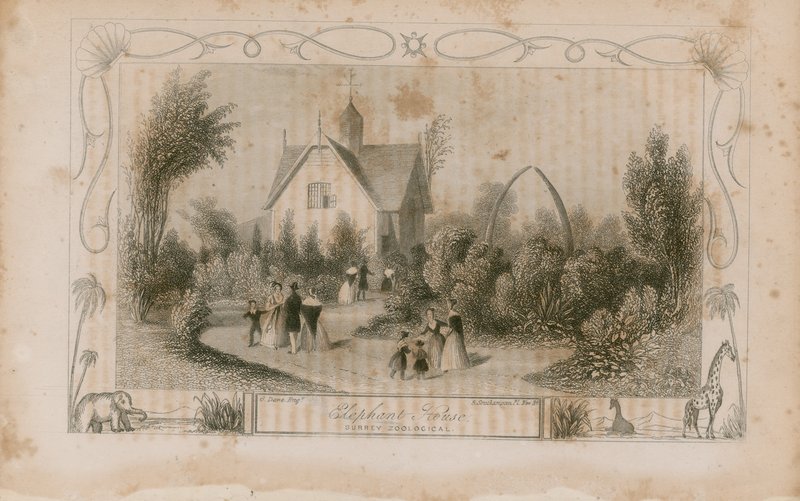 La Casa del Elefante de English School