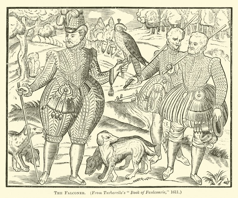 El Halconero de English School