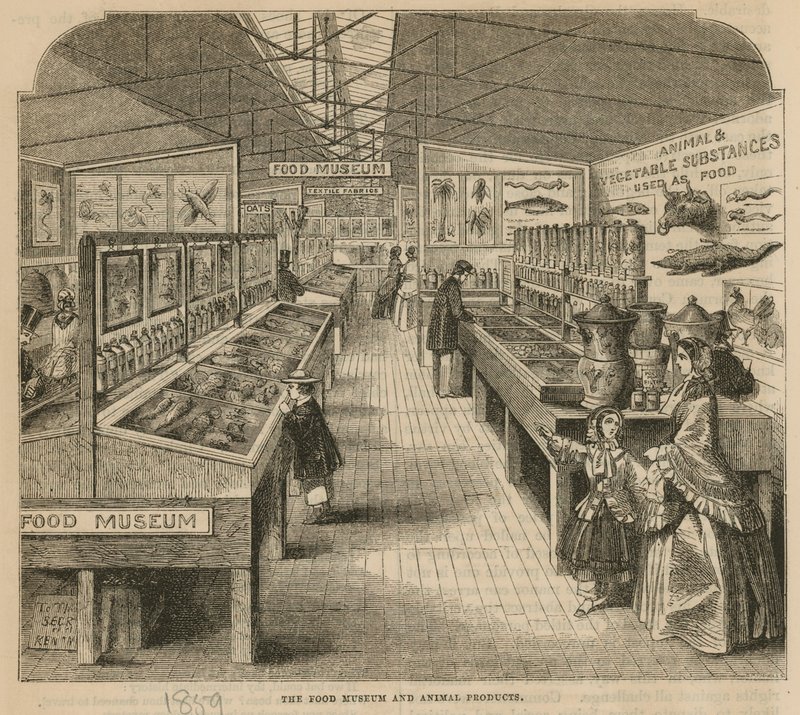 El Museo de Alimentos y Productos Animales, Museo de South Kensington de English School