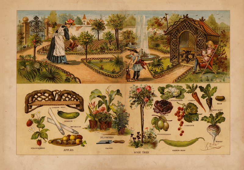 El jardín (litografía en color) de English School