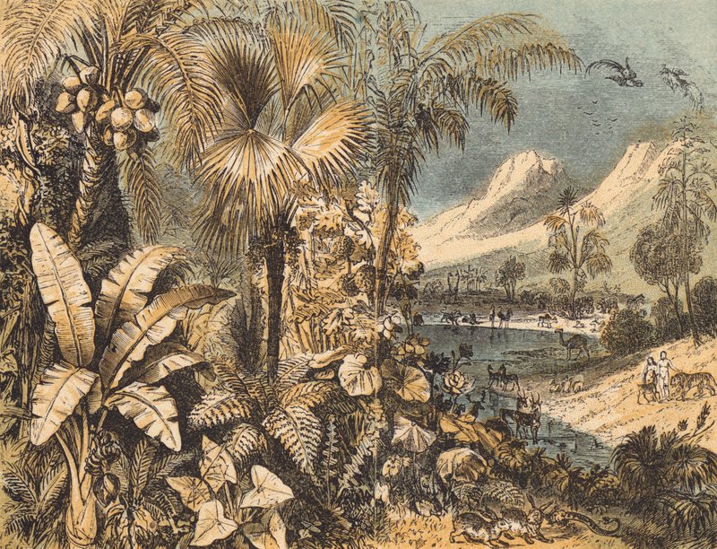 El Jardín del Edén de English School