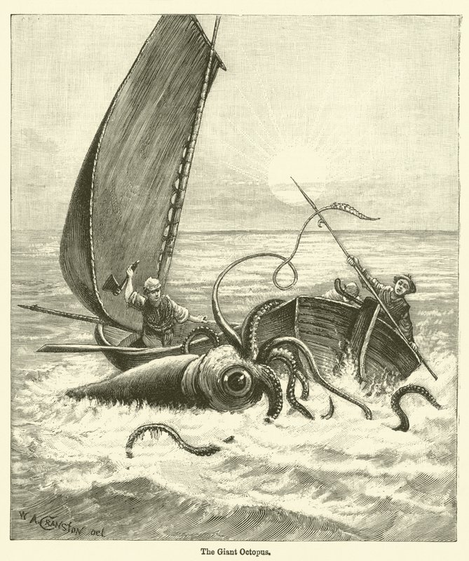 El Pulpo Gigante (grabado) de English School