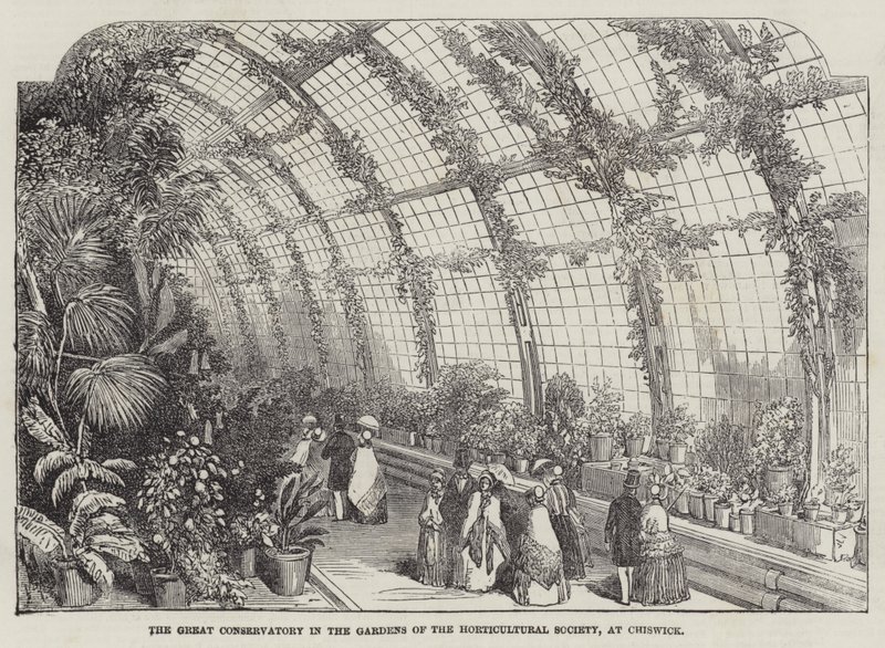 El gran invernadero en los jardines de la Sociedad de Horticultura, en Chiswick de English School