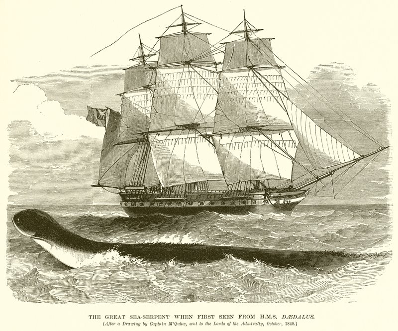 La gran serpiente marina vista por primera vez desde el H.M.S. Daedalus de English School