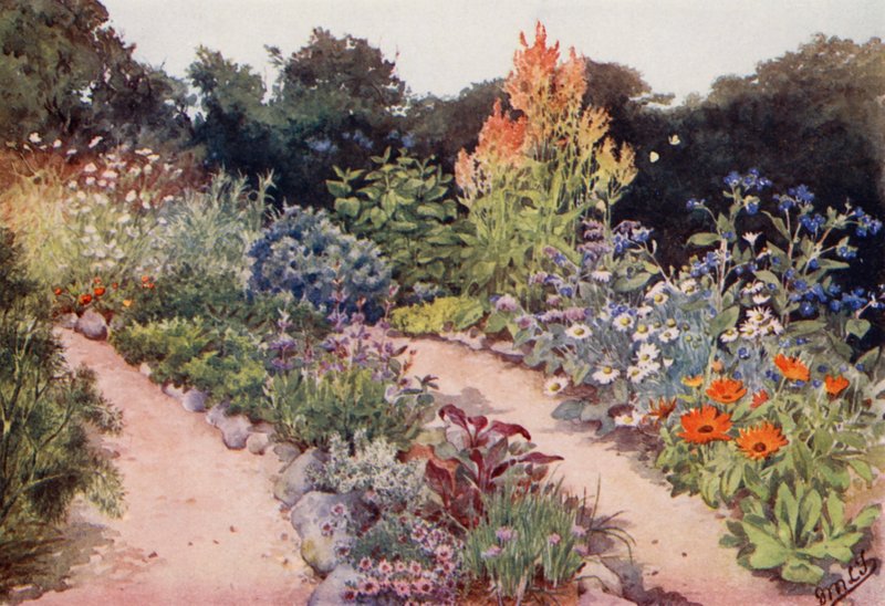 El jardín de hierbas: Bordes de hierbas en junio (litografía en color) de English School