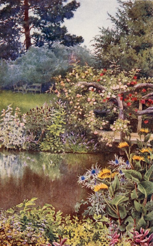 El jardín de hierbas: Hierbas junto al agua (litografía en color) de English School