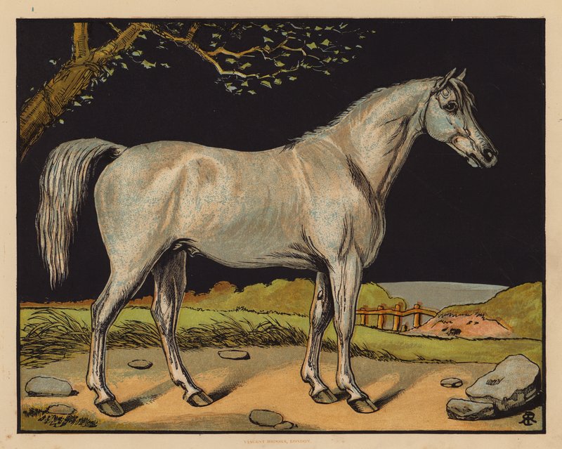 El caballo (litografía en color) de English School