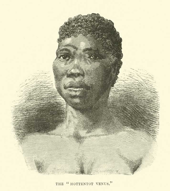 La Venus hotentote de English School