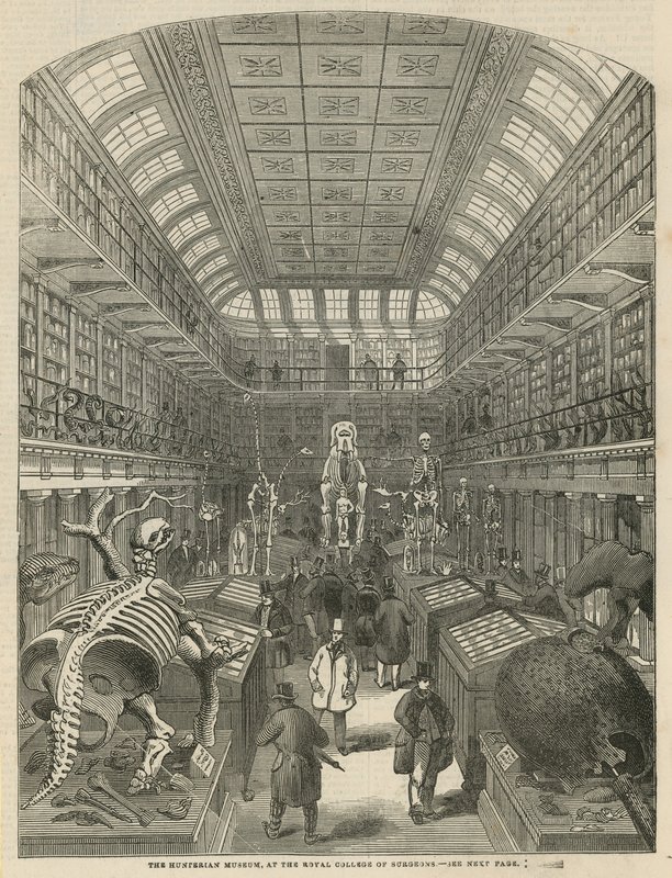 El Museo Hunteriano en el Real Colegio de Cirujanos de English School