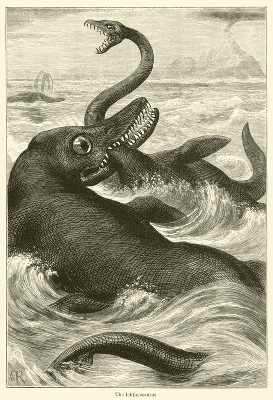 El ictiosaurio (grabado) de English School