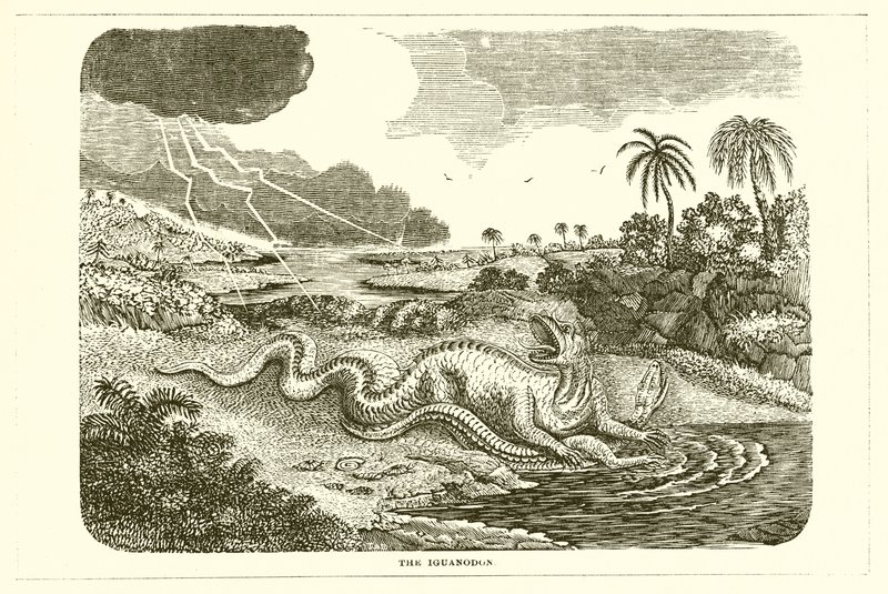 El Iguanodonte de English School