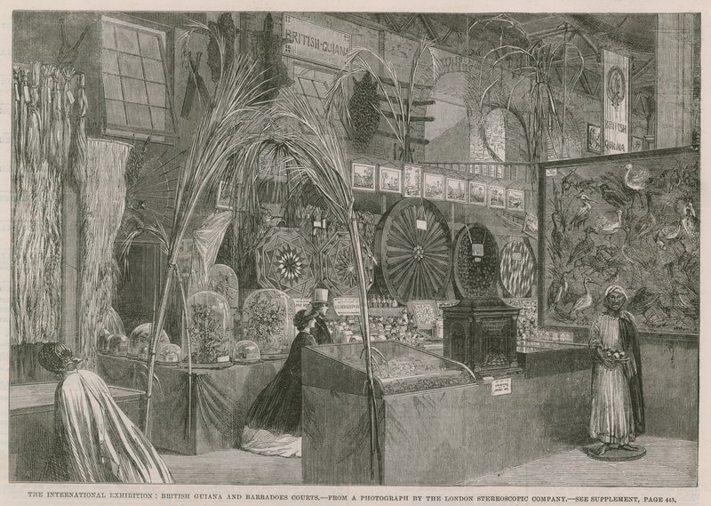 La Exposición Internacional; Tribunales de Guayana Británica y Barbados de English School