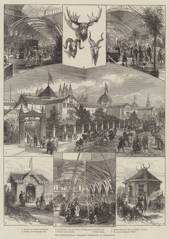 La Exposición Internacional de Silvicultura en Edimburgo (grabado) de English School