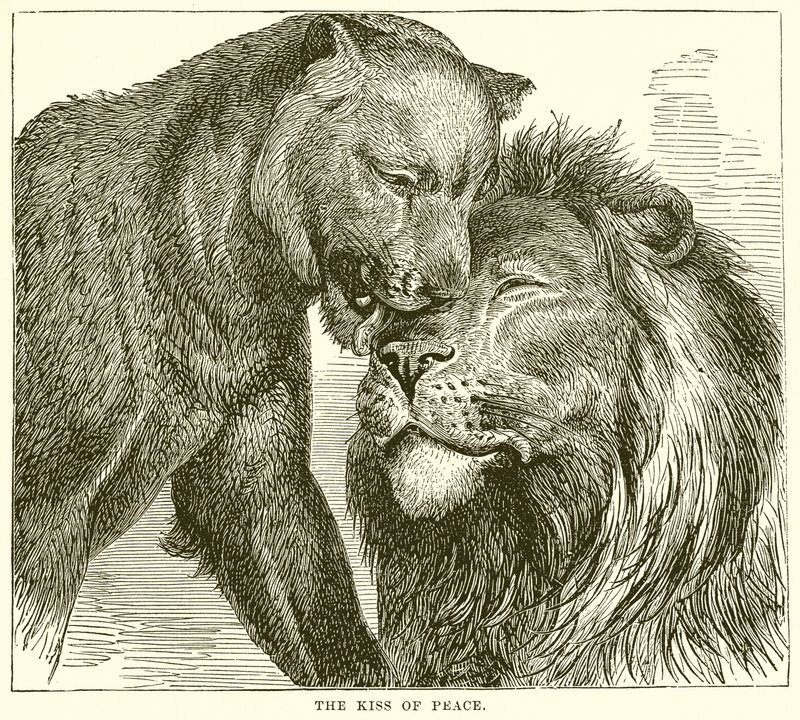 El Beso de la Paz de English School