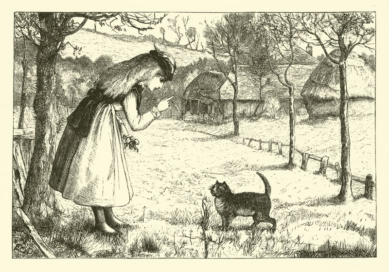 El gato perezoso de English School