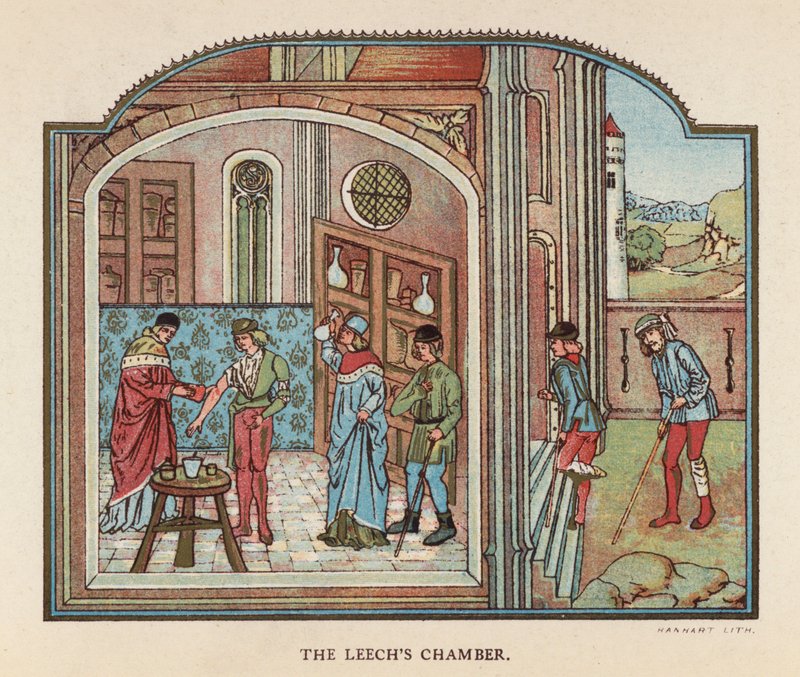 La cámara de la sanguijuela (litografía en color) de English School