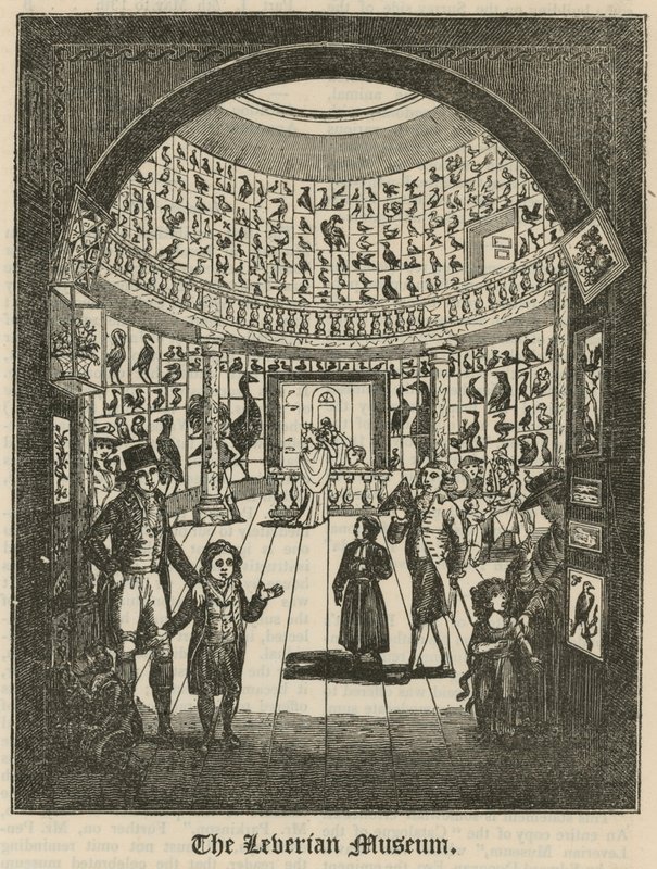 El Museo Leveriano de English School
