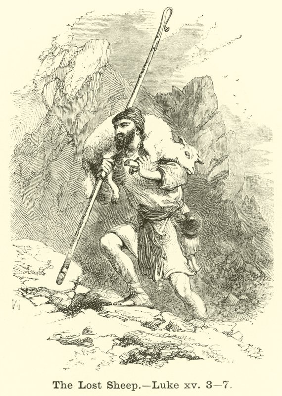 La oveja perdida de English School