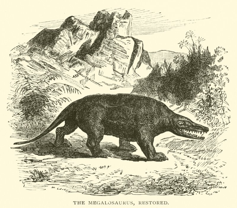 El Megalosaurus, restaurado de English School