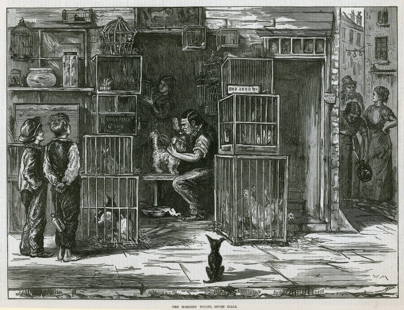 El aseo matutino, Seven Dials de English School