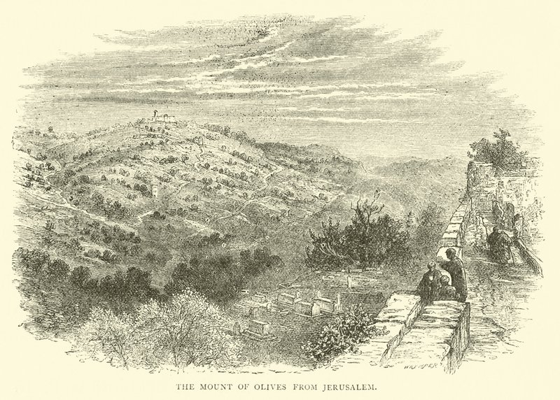El Monte de los Olivos desde Jerusalén de English School