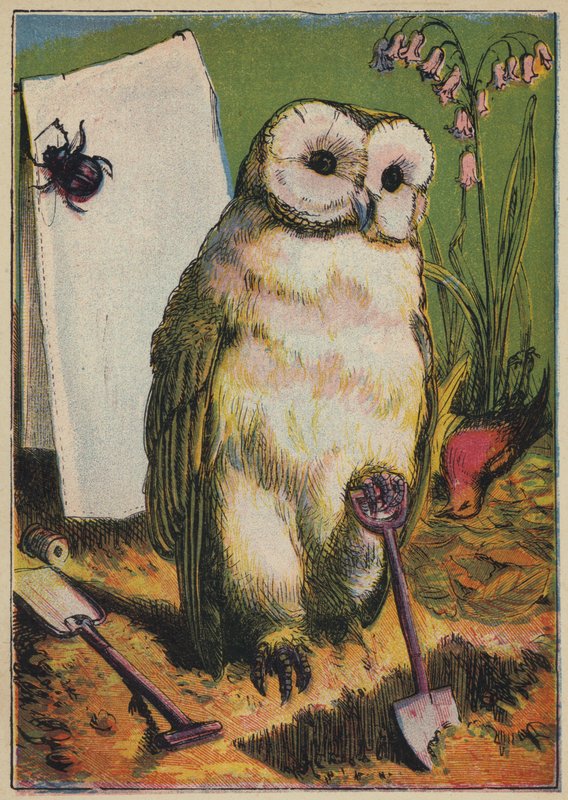 El búho, el escarabajo y el petirrojo (litografía en color) de English School