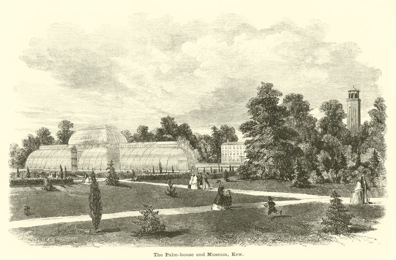 La casa de las palmas y el museo, Kew de English School