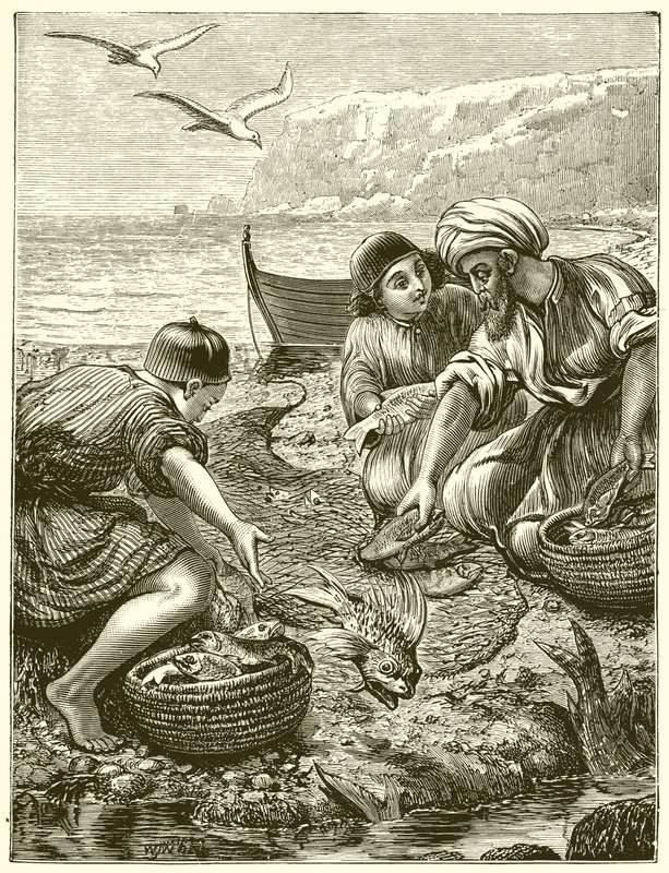 La parábola de la red de English School