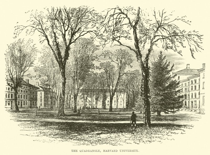 El Cuadrángulo, Universidad de Harvard de English School