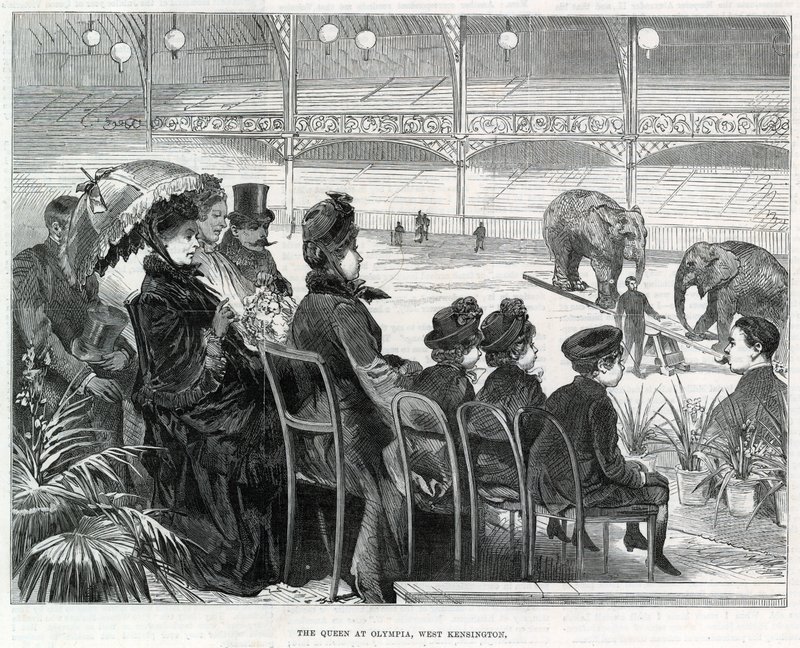 La Reina en Olympia, West Kensington de English School