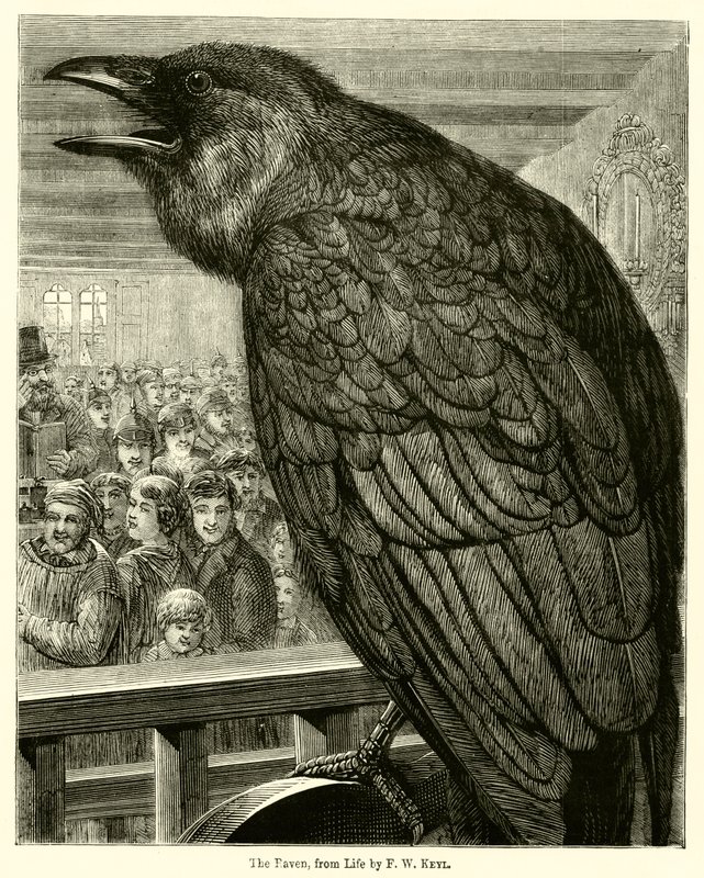 El cuervo, de la vida de English School