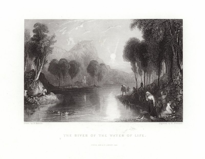 El río del agua de la vida de English School
