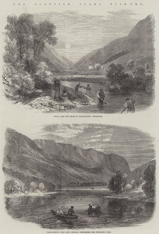 La pesca de perlas en Escocia de English School