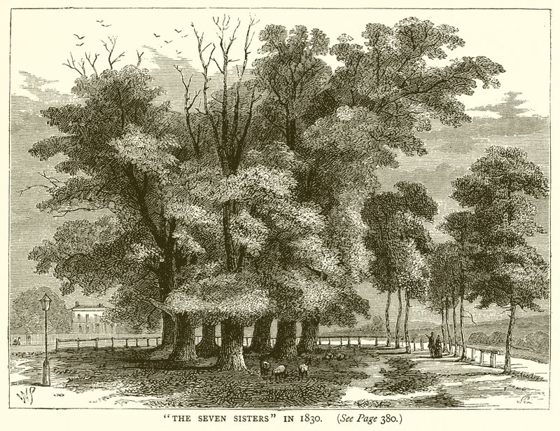 Las Siete Hermanas en 1830 de English School