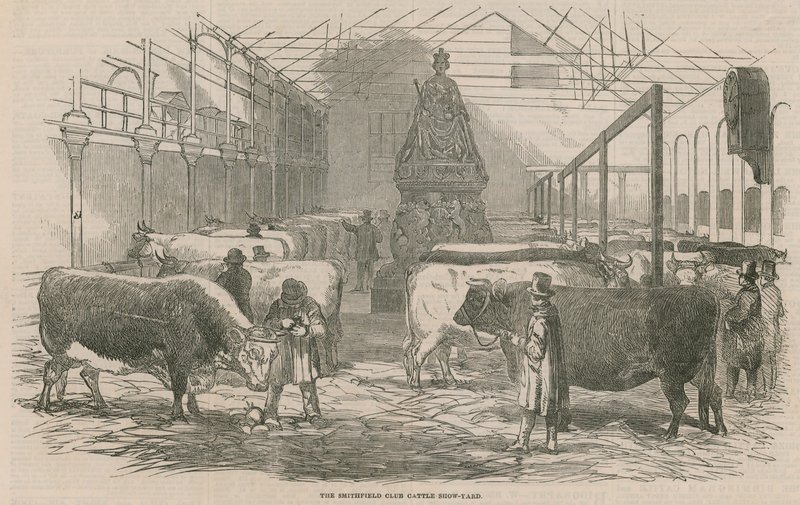 El patio de la exposición de ganado del Smithfield Club de English School