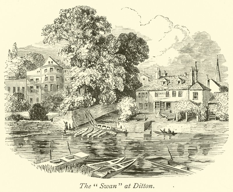 El Cisne en Ditton de English School