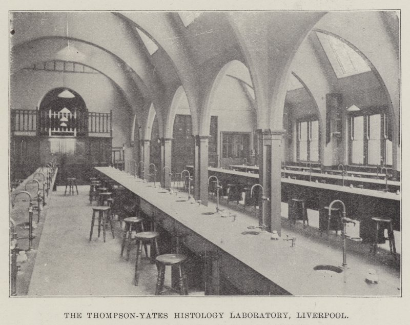 El Laboratorio de Histología Thompson-Yates, Liverpool (grabado) de English School