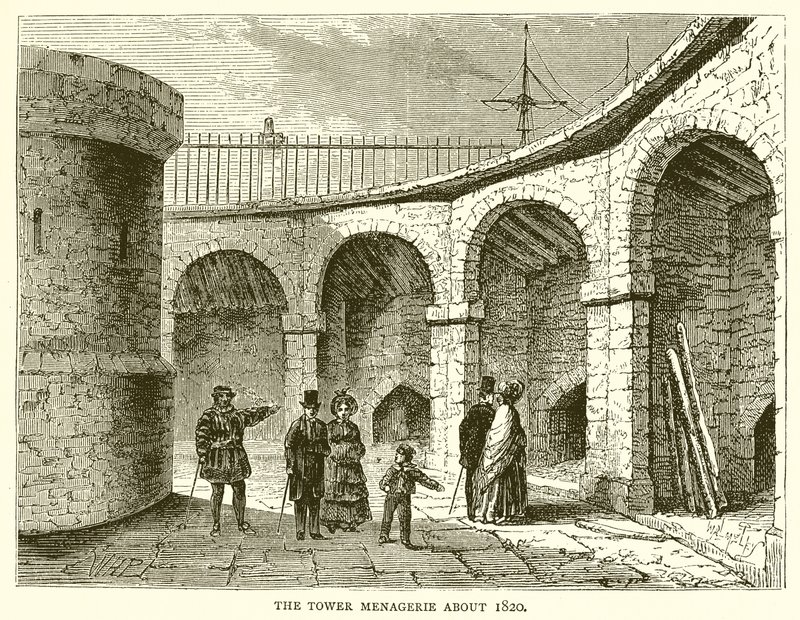 La Menagerie de la Torre alrededor de 1820 de English School