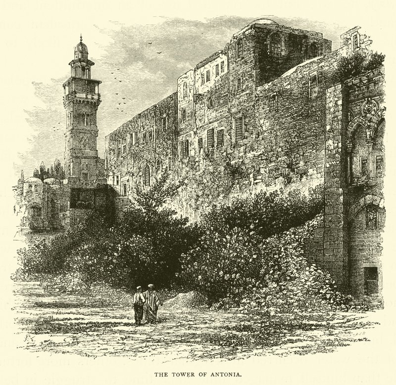 La Torre de Antonia de English School