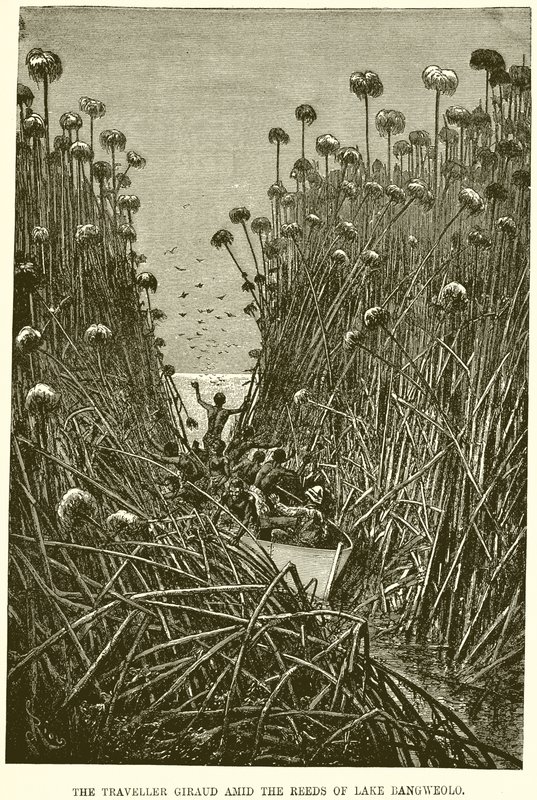 El viajero Giraud entre los juncos del lago Bangweolo de English School
