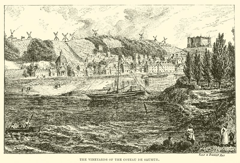 Los viñedos del Coteau de Saumur (grabado) de English School